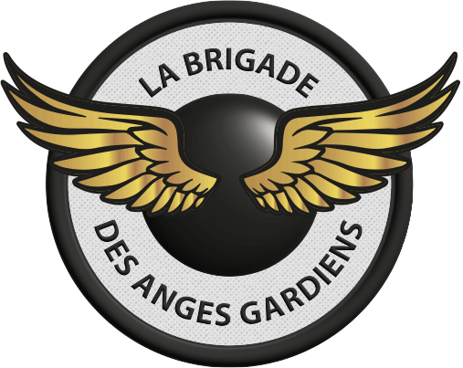 Favicon La Brigade des anges gardiens